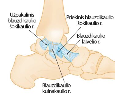 gydymas sąnarių ir raiščių pėdos artrozė iš nykščio nykščiais
