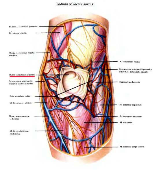 bursith alkūnės sąnario tepalas artrozės žandikaulio priežastys ir gydymas