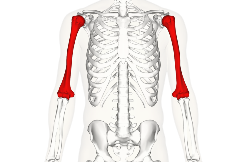 raumenų skausmas ir sąnarių malgia artralgija raumenų tepalas sąnariai