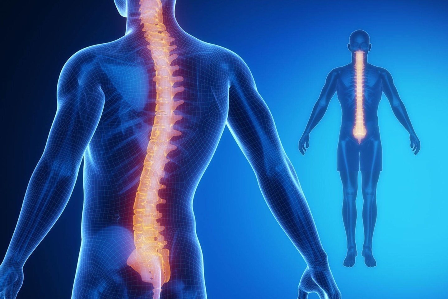 nugaros skausmas ir nugaros sąnarių