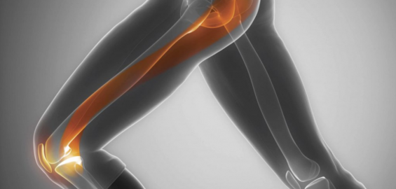 skausmas raumenų sąnarių kaulų osteoartrito art