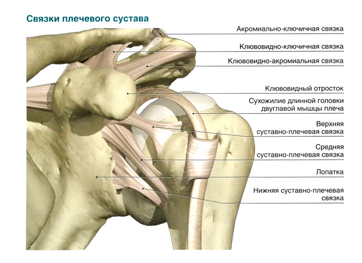 skausmas peties sąnario tinklinio artritas ir artrozė iš pėdos sąnarių