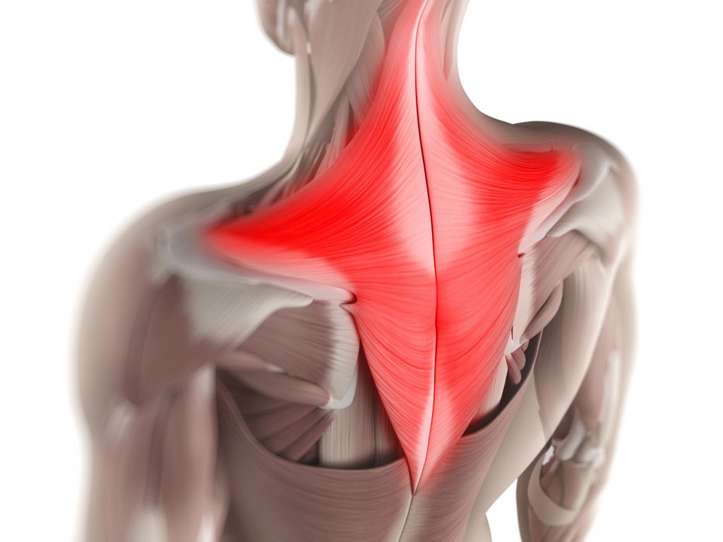 raumenų skausmais pečių palaikimo kai pernešimo rankas sergančius alkūnės sąnarius