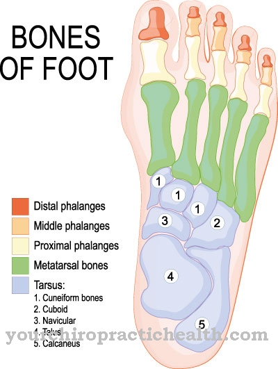 artrozė iš pėdos pirštų sąnariai liaudies gynimo priemonės su osteoartritu nuo rankų sąnarių