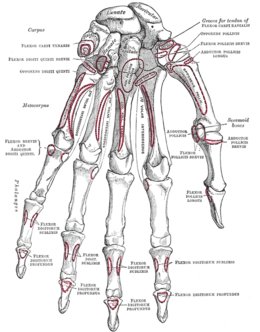artrozės 1-2 laipsnių alkūnės sąnario