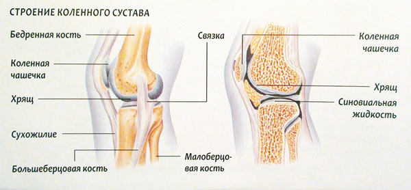 liaudies gynimo priemonės skirtos artrozės pėdos gydymo